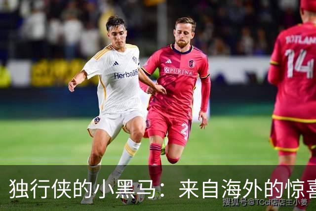 独行侠的小黑马：来自海外的惊喜杀手