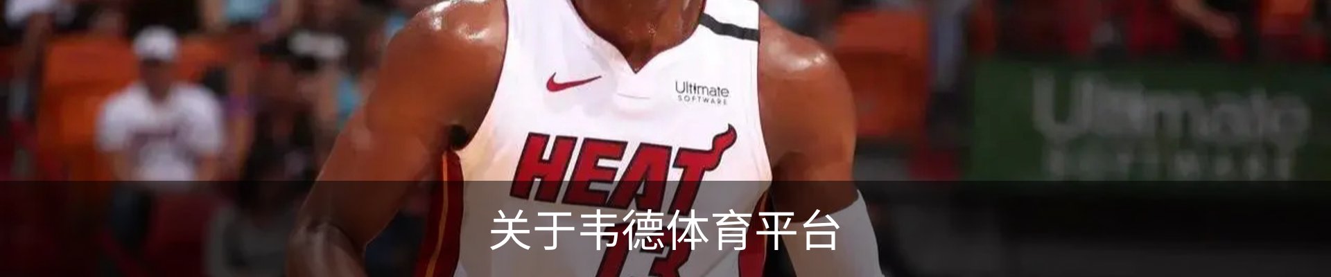 关于韦德体育平台