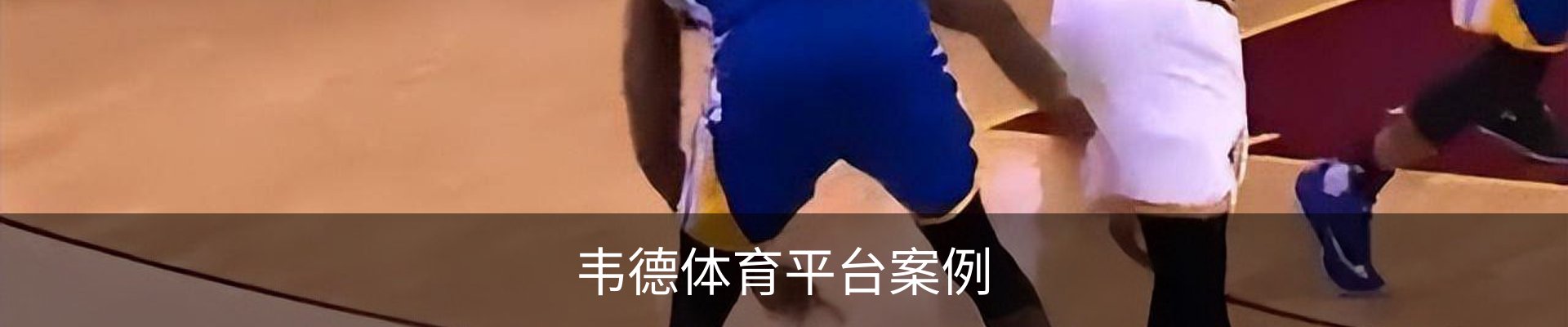 韦德体育平台案例